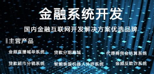 國(guó)內(nèi)專注于互聯(lián)網(wǎng)金融系統(tǒng)軟件研發(fā)及外包服務(wù)的知名公司